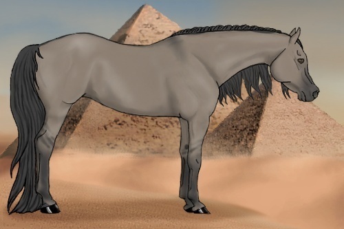 Horse Color:Smoky Grullo 