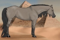 Horse Color:Smoky Grullo 