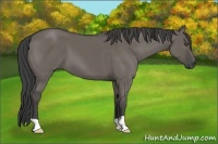Horse Color:Smoky Grullo 