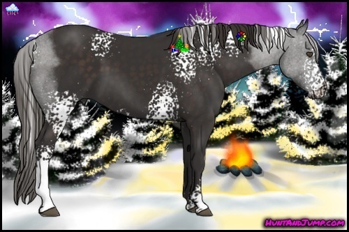 Horse Color:White Spotted Liver Chestnut Sabino 