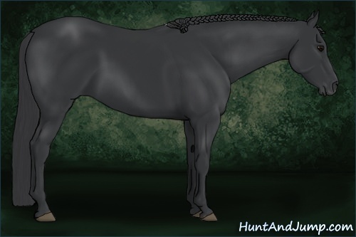Horse Color:Black Frame
