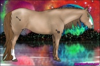 Horse Color:Liver Chestnut Pearl