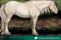 Horse Color:Chocolate Palomino Roan Pearl Dun Splash