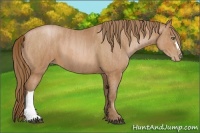 Horse Color:Brown Pearl  Brindle