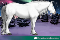 Horse Color:Black Frame 