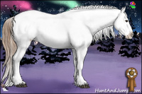 Horse Color:Black Pearl Snowflake Varnish 