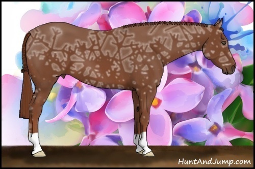 Horse Color:Chestnut Ice 