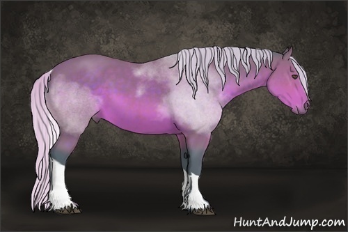 Horse Color:Watercolor Silver Brown Sabino Tobiano 