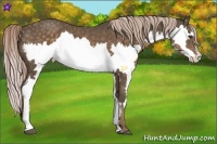 Horse Color:Chocolate Palomino Splash Frame