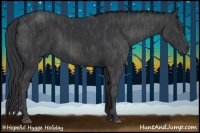 Horse Color:Black  Brindle