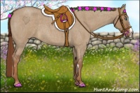 Horse Color:Red Dun Roan Splash Frame Rabicano