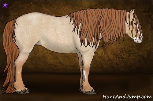 Horse Color:Red Dun Roan Splash Frame Rabicano 