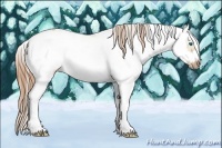 Horse Color:Red Dun Sabino Splash Frame Rabicano