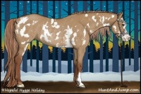 Horse Color:Red Dun Sabino Splash Frame Rabicano 