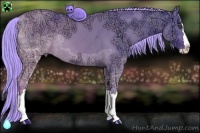 Horse Color:Watercolor Red Dun Ice Sabino Splash Rabicano