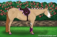 Horse Color:Red Dun Sabino Splash Frame Rabicano