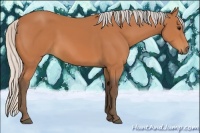 Horse Color:Silver Bay Sabino