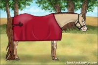 Horse Color:Red Dun Sabino Splash Frame Rabicano 