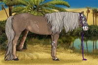 Horse Color:Chocolate Palomino Sabino Splash Frame