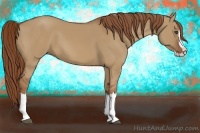 Horse Color:Red Dun Sabino Splash Frame Rabicano