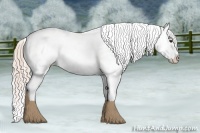 Horse Color:Palomino Sabino Varnish 