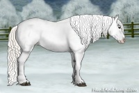 Horse Color:Palomino Sabino Varnish