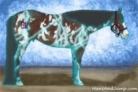 Horse Color:Thunderstruck Bay Sabino Frame