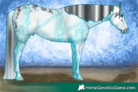 Horse Color:Thunderstruck Brown Sabino Frame 