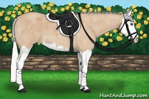 Horse Color:Silver Buckskin Roan Splash 