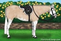 Horse Color:Silver Buckskin Roan Splash 