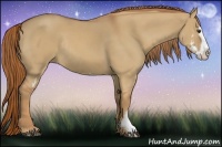 Horse Color:Red Dun Sabino Splash Frame Rabicano