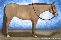Horse Color:Sable Champagne Sabino Rabicano Brindle