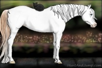 Horse Color:Sable Champagne Dun Splash Blanket 