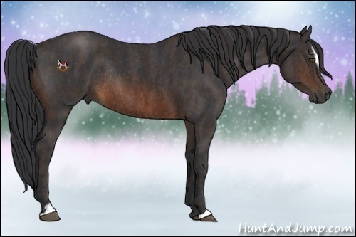 Horse Color:Brown Roan Sabino Rabicano Brindle