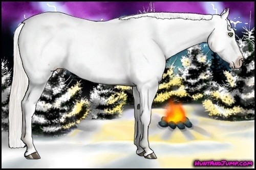 Horse Color:Silver Brown Pearl Sabino Near Fewspot Rabicano  Brindle