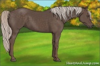 Horse Color:Silver Black 