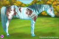 Horse Color:Thunderstruck White Spotted Bay