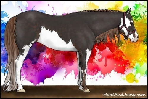 Horse Color:Liver Chestnut Sabino Splash Frame 