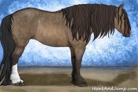 Horse Color:Brown Dun Rabicano Brindle