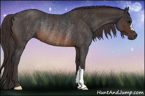 Horse Color:Brown Rabicano Brindle