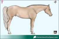 Horse Color:Chocolate Palomino Pearl 