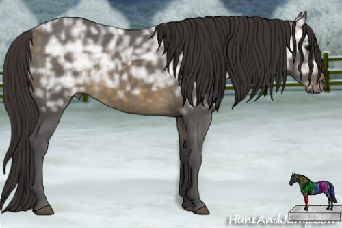 Horse Color:Buckskin Ice 