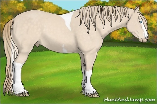 Horse Color:White Spotted Perlino Tobiano 