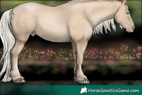 Horse Color:Silver Buckskin Pearl 