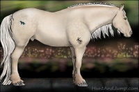 Horse Color:Silver Buckskin Pearl 
