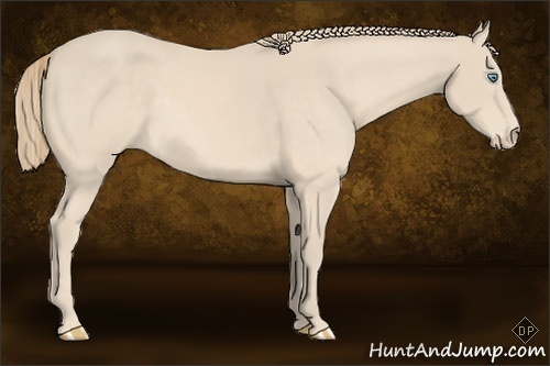 Horse Color:Perlino 