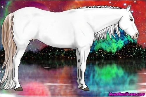 Horse Color:Buckskin Snowflake Varnish 