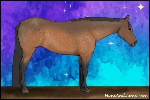 Horse Color:Buckskin 