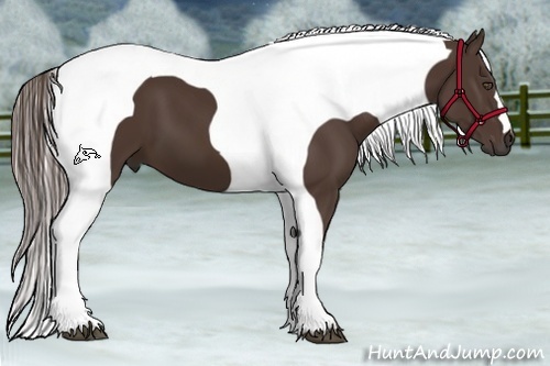 Horse Color:Liver Chestnut Tobiano Frame 