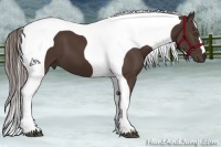 Horse Color:Liver Chestnut Tobiano Frame 